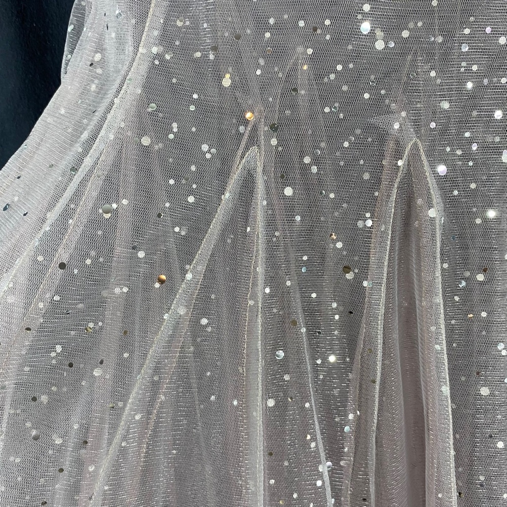 Crinoline Sparkle Dress - Picture 3 of 6